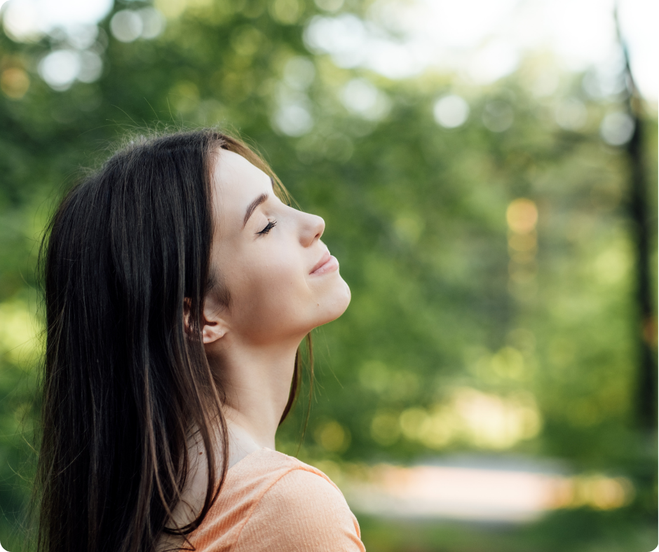 Añadir un subtítulo (38)