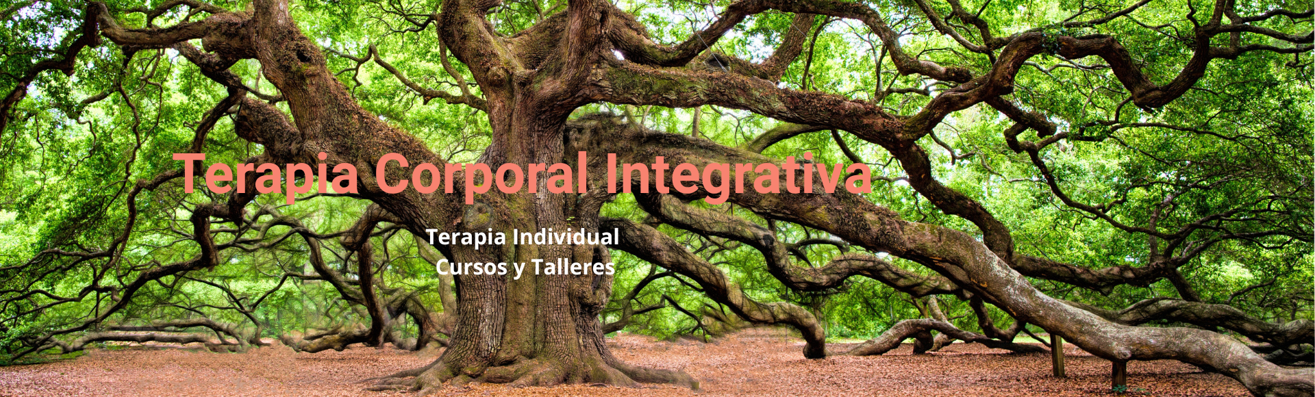 Encabezado de Google Classroom Clases de Matemáticas Ilustración Beige Rojo y Azul (1920 x 580 px) (2)